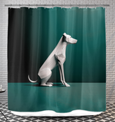 Playful Labrador Snowy Play