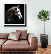 Graceful Horse Water Reflection - Beyond T-shirts