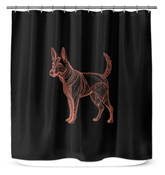 Playful Corgi Meadow Run