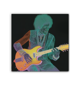 Close-up of Carnation Carousel Wrapped Canvas artwork.