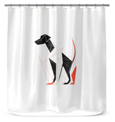 Graceful Dachshund Autumn Walk