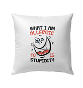 Outdoor Pillow - Beyond T-shirts