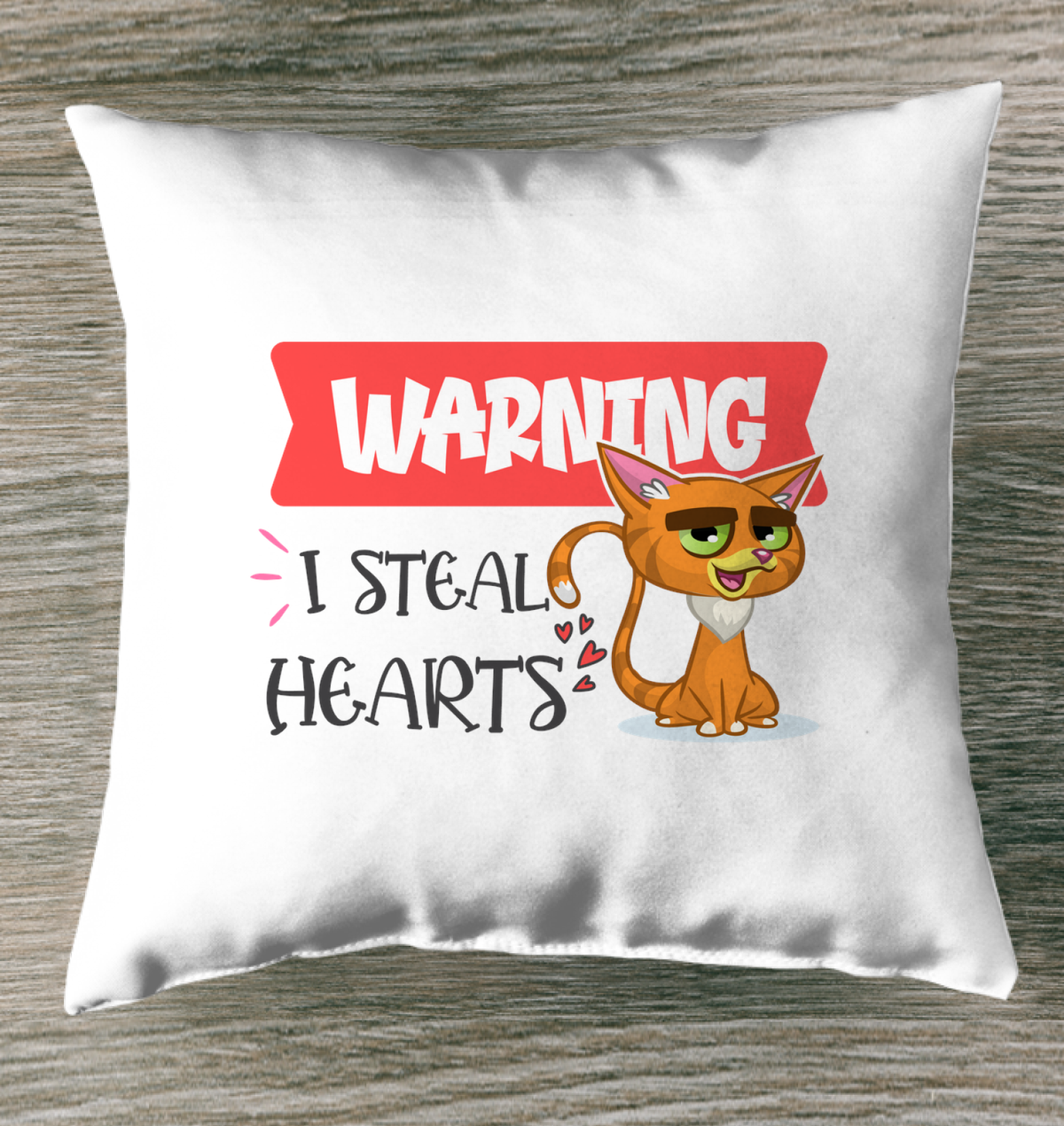 Warning I Only Steal Hearts Outdoor Pillow