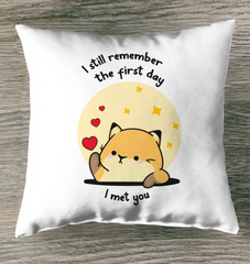 I Still Remember The Day I Met You Outdoor Pillow