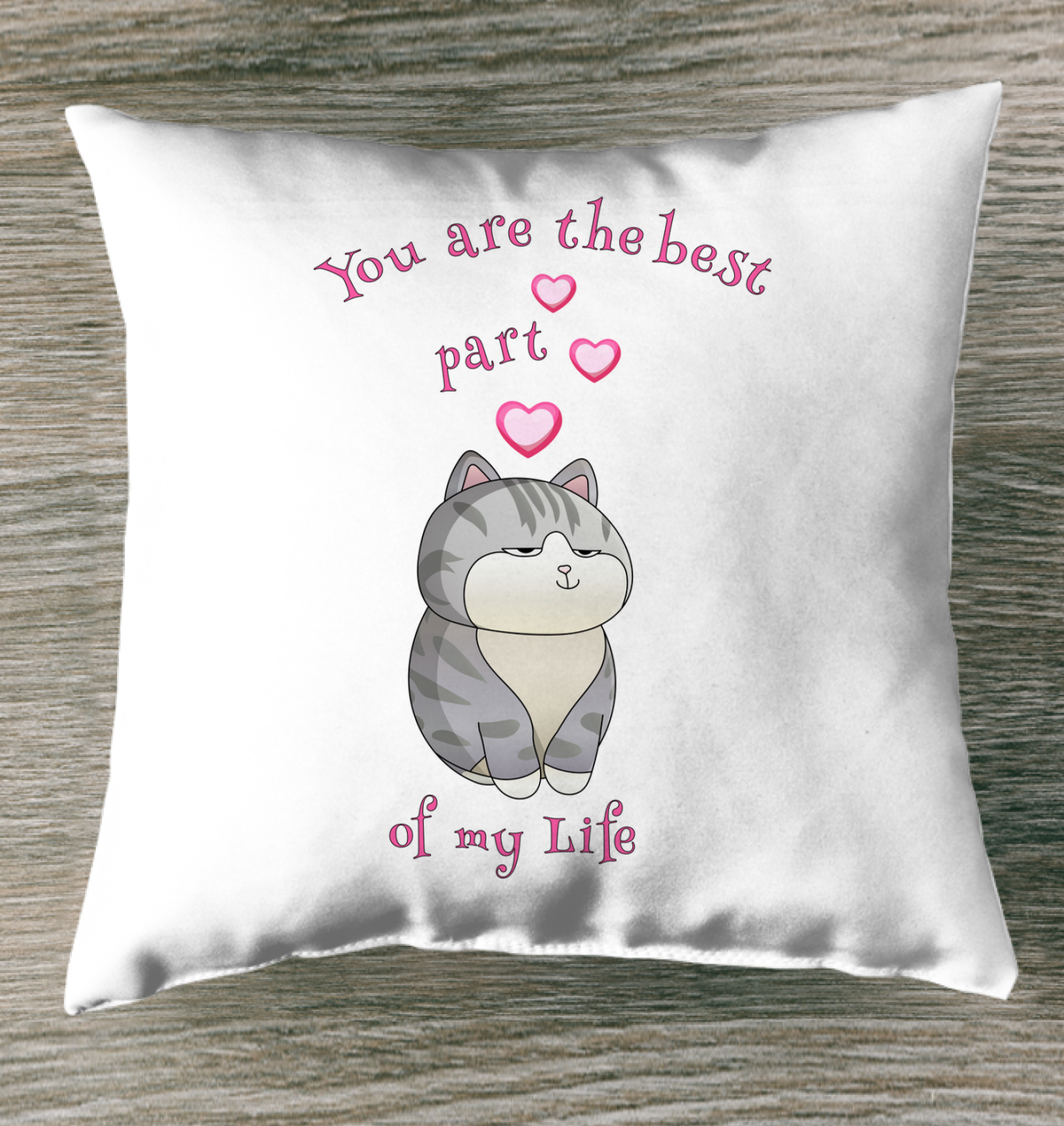 You Are The Best Part Of My Life Outdoor Pillow