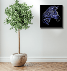 Zebra Grazing Serenity Canvas - Beyond T-shirts
