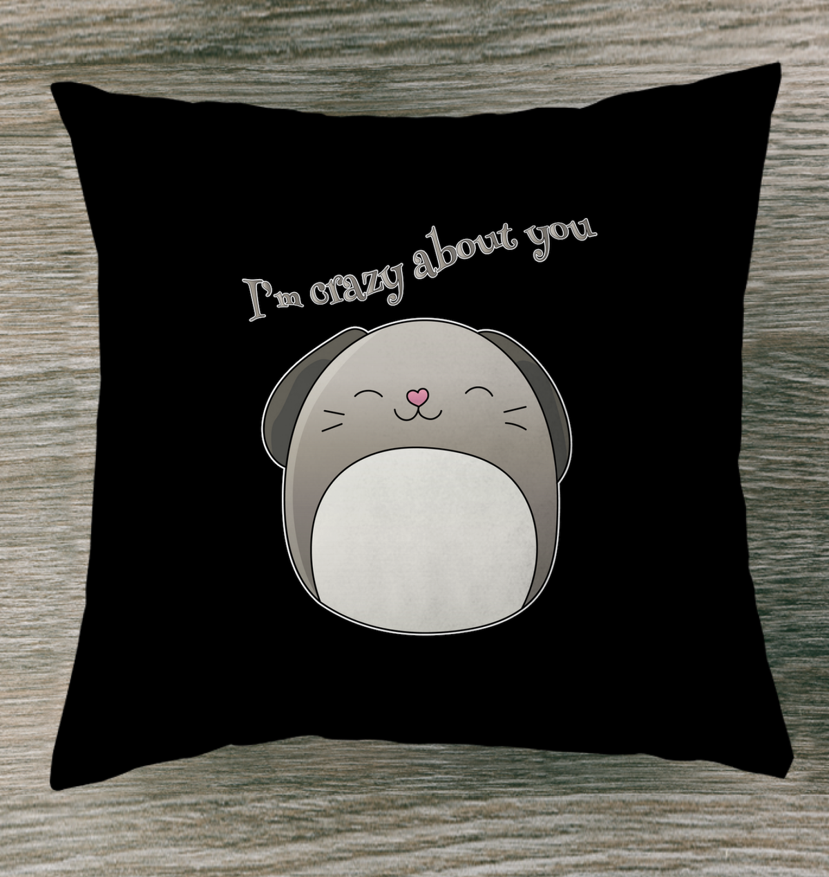 I’m Crazy About You Indoor Pillow