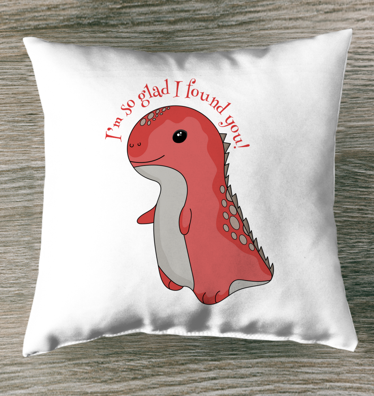 I Found You Indoor Pillow