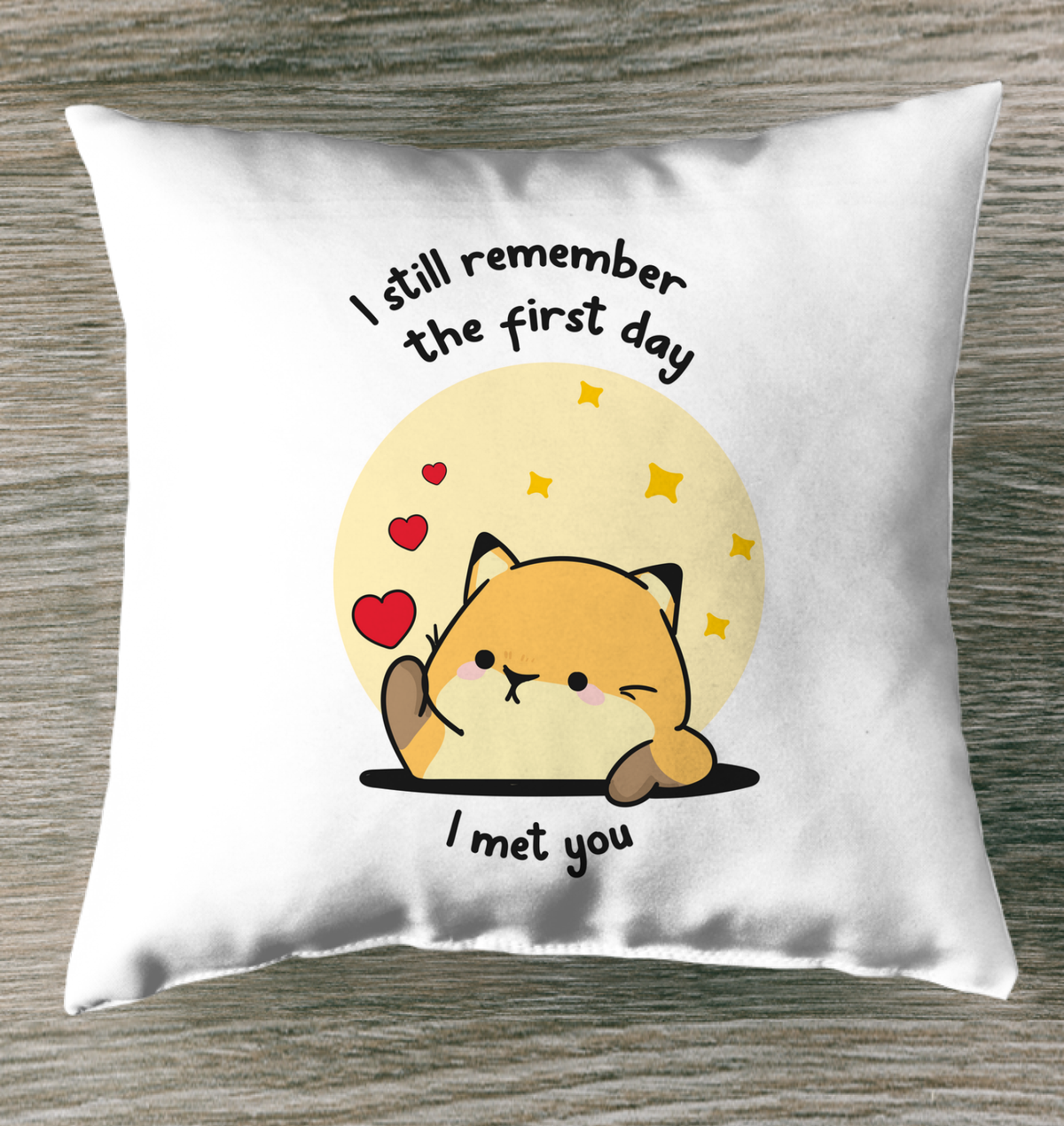 The First Day I Met You Indoor Pillow