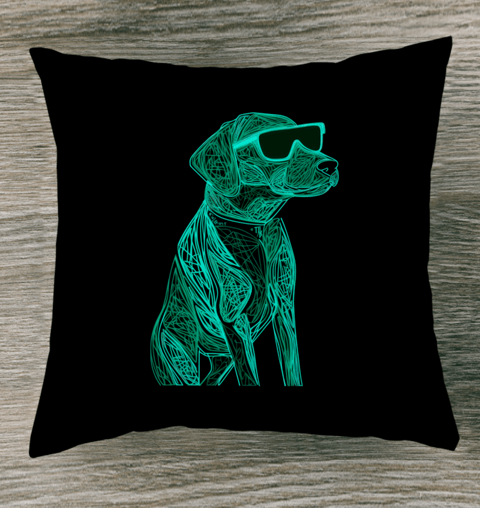 Paws And Play Indoor Pillow - Beyond T-shirts