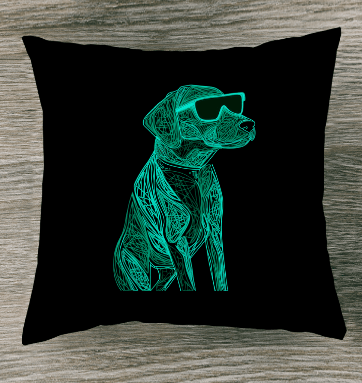 Paws And Play Indoor Pillow - Beyond T-shirts