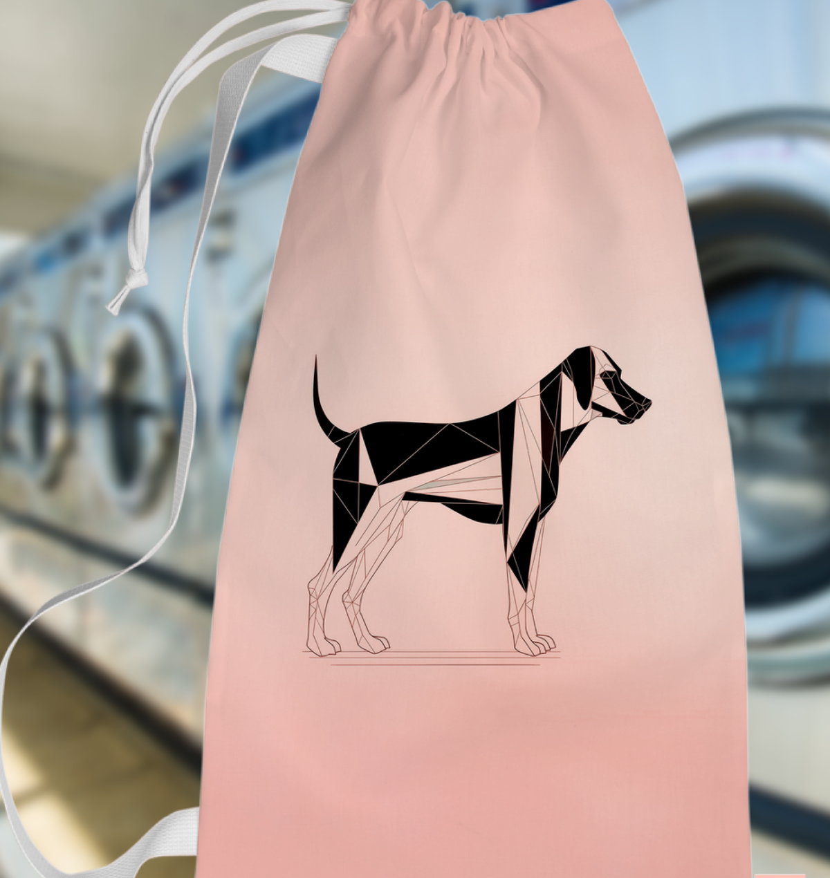 Adventurous Pups Laundry Holder