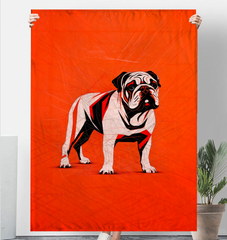Boxer Bounce Warm Blanket