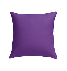 Elegant indoor pillow with unique monogram customization.