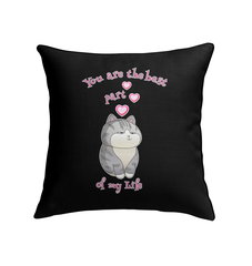 You Are The Best Part Of My Life Indoor Pillow