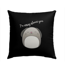 I’m Crazy About You Outdoor Pillow