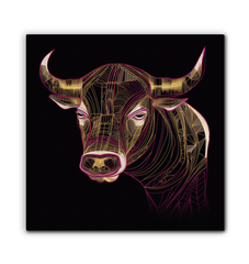 Graceful Buffalo River Reflection