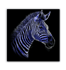 Zebra Grazing Serenity Canvas - Beyond T-shirts