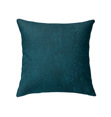 Brushed Silver Indoor Pillow