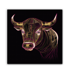 Graceful Buffalo River Reflection