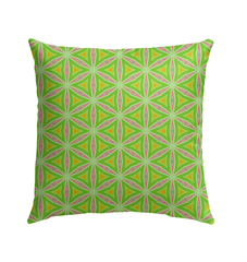 Durable outdoor pillow with vibrant paisley design.
