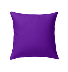 Arctic Frost Indoor Pillow on a Cozy Living Room Sofa