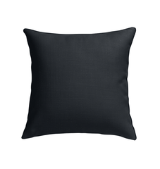 Musical Muse Indoor Pillow