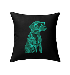 Paws And Play Indoor Pillow - Beyond T-shirts