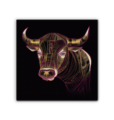 Graceful Buffalo River Reflection