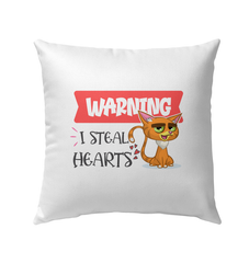 Warning I Only Steal Hearts Outdoor Pillow