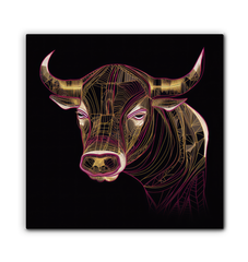 Graceful Buffalo River Reflection