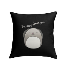 I’m Crazy About You Indoor Pillow