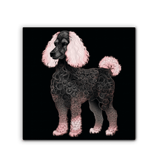 Elegant Bichon Frise Cloud Cuddle - Beyond T-shirts