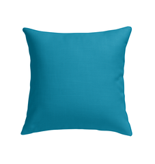 Luxurious Royal Velvet Indoor Pillow in Rich Colors for Elegant Decor