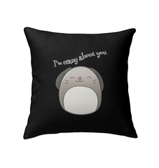 I’m Crazy About You Indoor Pillow