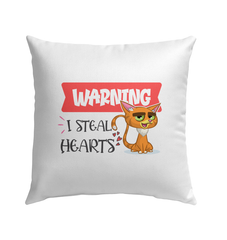 Warning I Only Steal Hearts Outdoor Pillow