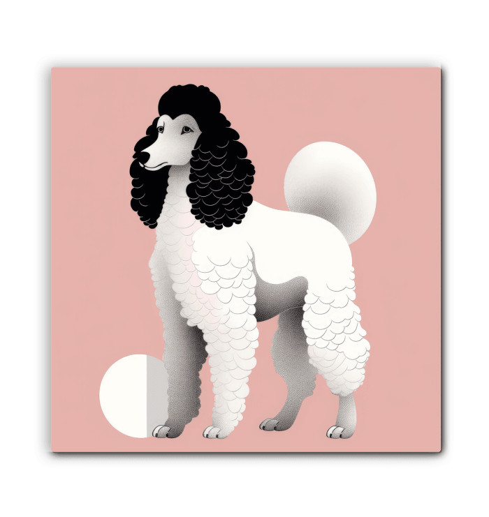 Elegant Shih Tzu Royal Pose - Beyond T-shirts