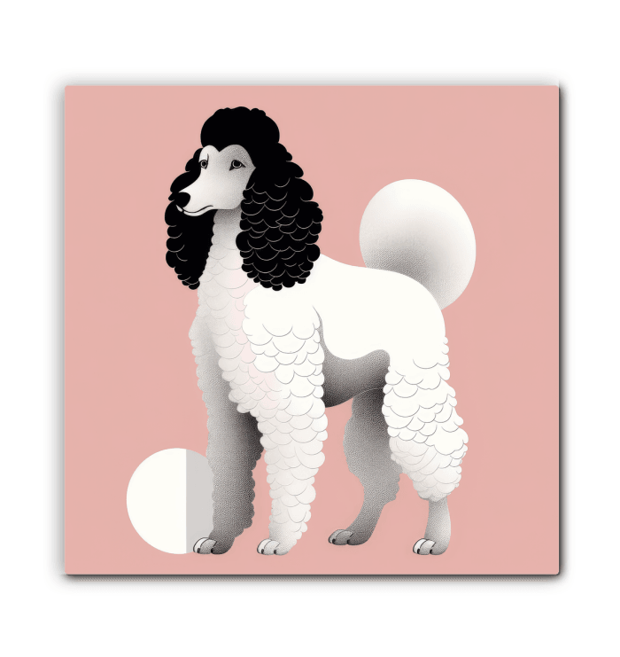 Elegant Shih Tzu Royal Pose - Beyond T-shirts