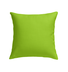 Floral Fiesta Indoor Pillow