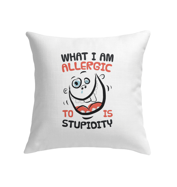 Indoor Pillow - Beyond T-shirts