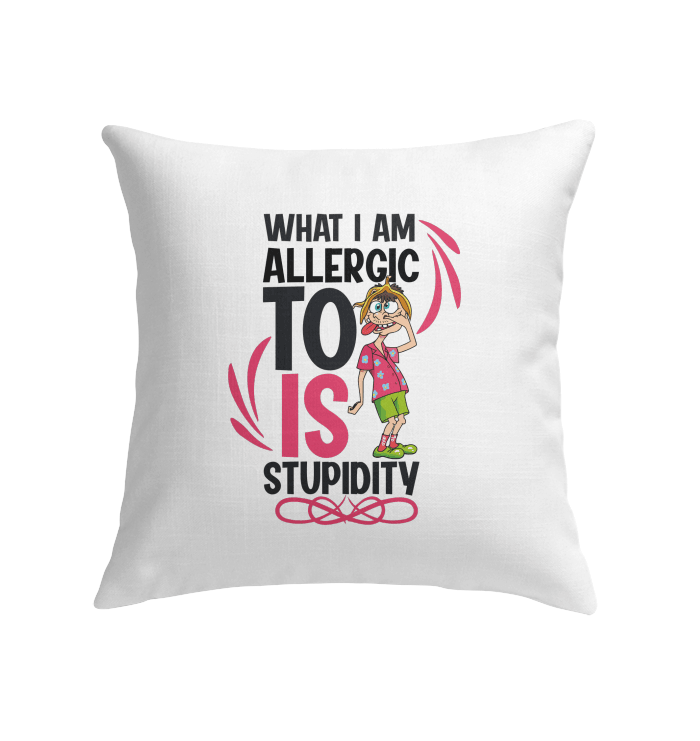 Indoor Pillow - Beyond T-shirts