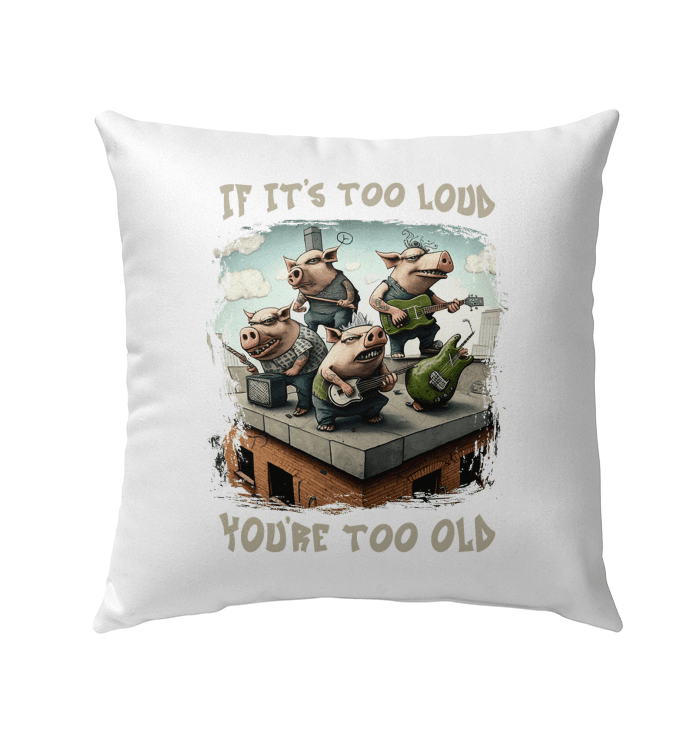 You're Too Old Outdoor Pillow - Beyond T-shirts